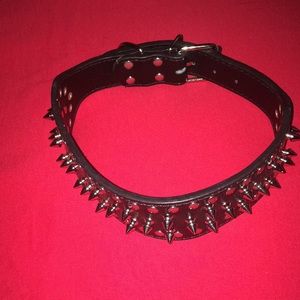 Spiked dog collar